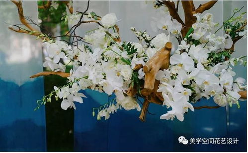 花卉的奇妙世界