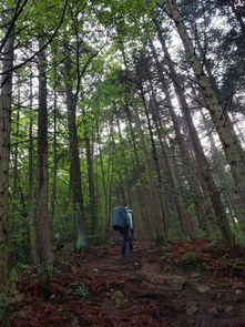 第四招：比一比， 堪堪它们的纹理