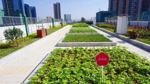 园林景观设计中的生态环保理念：如何让绿色成为风景线