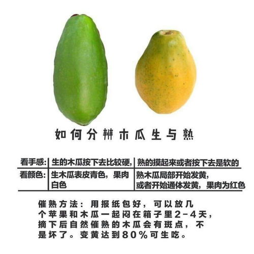 青木瓜催熟，只需一个步骤