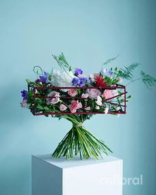 植物素材的分类解析