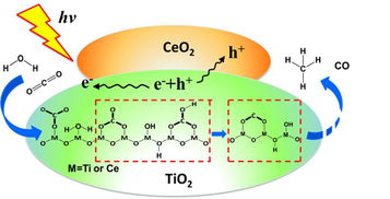 二氧化碳， 你也有“作用”