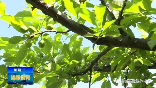 科学播种，有技巧