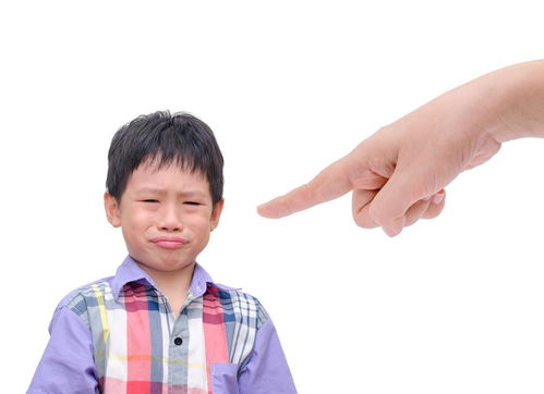 乙女心怎么养？掌握这些方法
