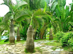 春天的秘密，你找到了吗？