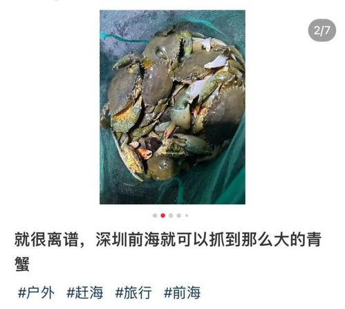 利用生态捕捞法，精准捕捉野生河蟹