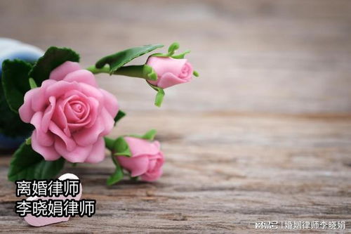 别再瞎送了！玫瑰花朵数的含义