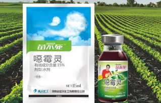 藕田里的病害难题