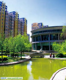 提升城市魅力， 打造城市名片