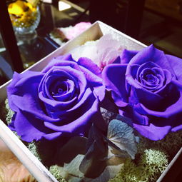 Love Rose品牌：人工的浪漫与自然的和谐