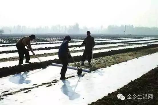 专家说法， 仅供参考