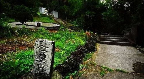 简约持重：墓园绿化的本真