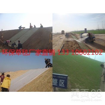 固坡方法大比拼