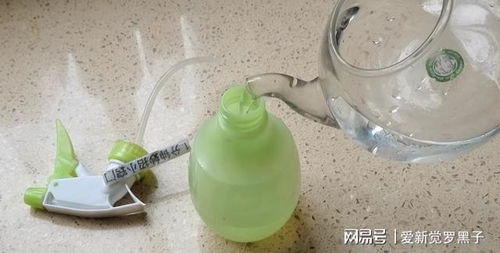 潮虫怕什么？试试白醋杀虫法