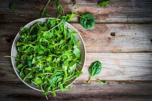 春菜种植最佳月，春味最佳赏味季