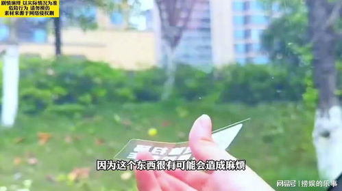 警惕高钙菜种植骗局？这些套路你了解多少