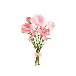 花语之谜：送错花会导致告白失败吗？