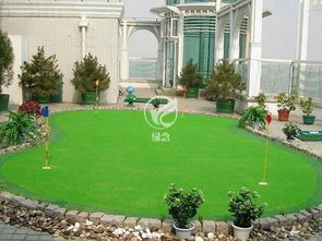 果岭草坪，高端大气