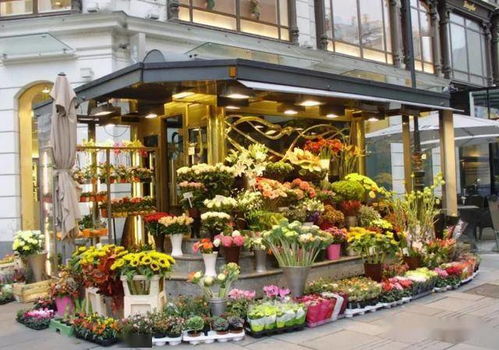 “打造小区花店，如何让鲜花成为邻里间的温馨桥梁