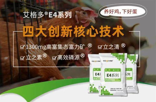 蛋鸡育成期精准钙磷营养调控