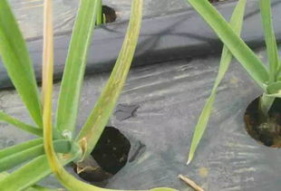 防治方法， 我们得行动起来