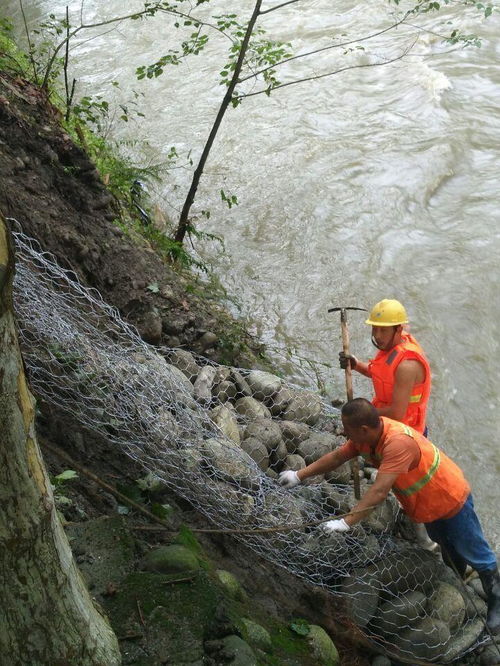 护坡的烦恼与草本植物的救赎