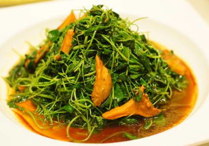 金花菜春季新鲜上市，有什么美食秘诀能让这道菜更美味呢
