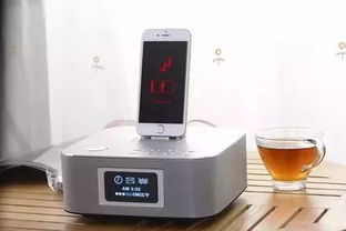 公共机构，带头行动