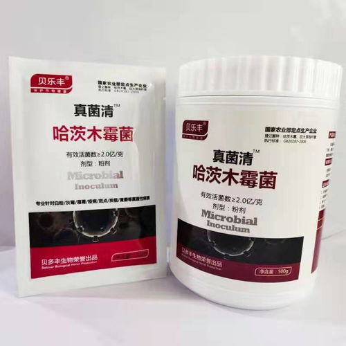 下午喷施会影响杀菌效果吗？