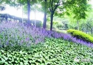 光照，就是茅梅的阳光少年