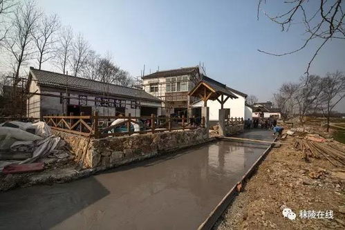 水塘植物配置， 美丽与净化的双重奏