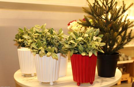 锡纸盒的好处多多