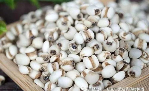 西南高海拔区的“温差游戏”