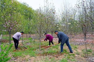 辛勤耕耘的喜悦
