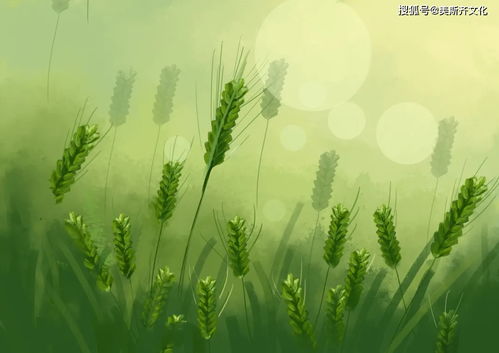 三农漫说小满