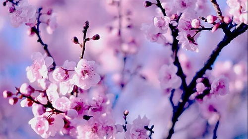 与无常共处的美好