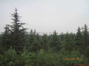 第三章：日常养护