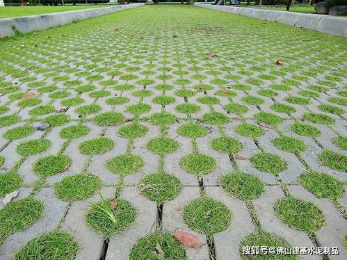 专家提醒：别选太大的种子