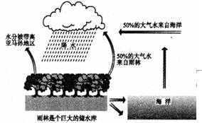 湘教版水循环：揭秘农业生态系统的奥秘