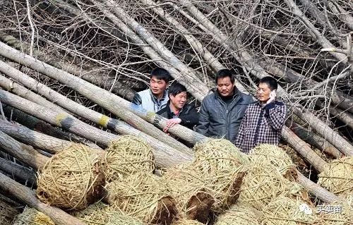 2、管理中存在的问题