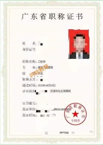 学历和专业要求