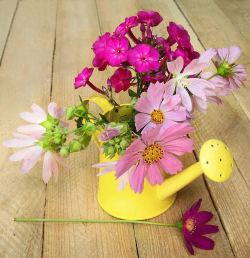 选对品种是关键