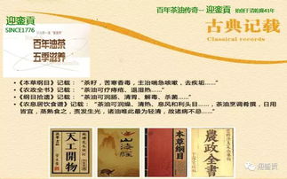 茶油种植技术通过国家审定，入选优质油茶良种目录