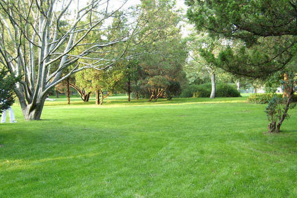 Zuo好准备工作， 加强后期管理