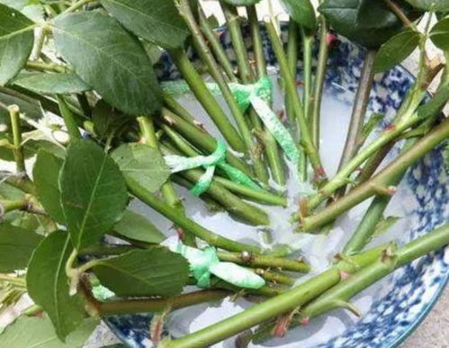 环境条件不达标