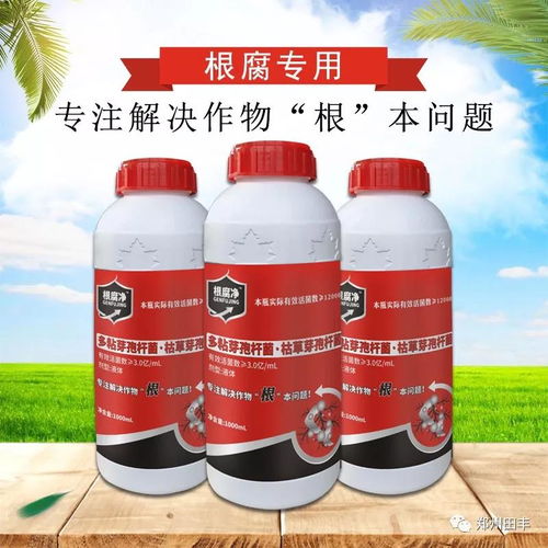 阴雨天杀菌剂大揭秘