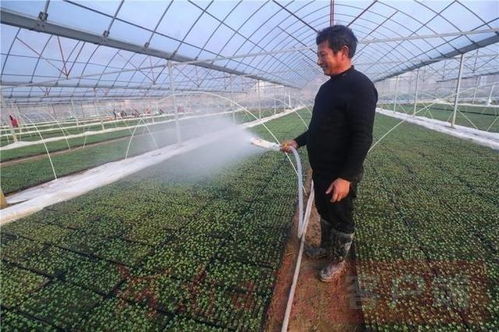 五、 人工控温：高科技护航