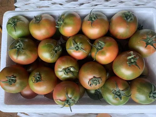 农药，是友还是敌？