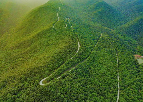 养护管理与动态监测