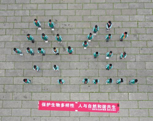 生态多样性大揭秘